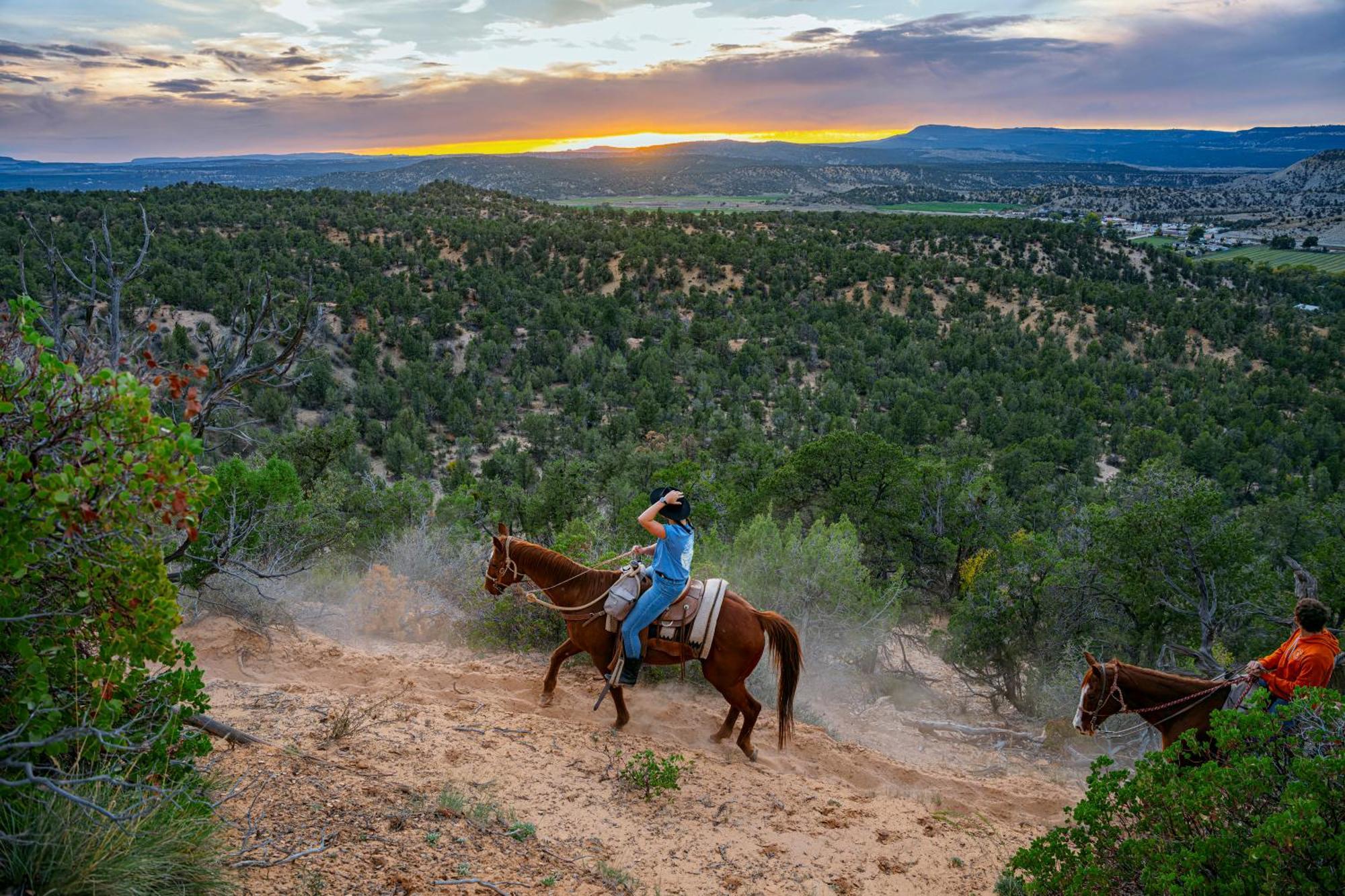 Zion Ponderosa Ranch Resort سبرينجديل المظهر الخارجي الصورة