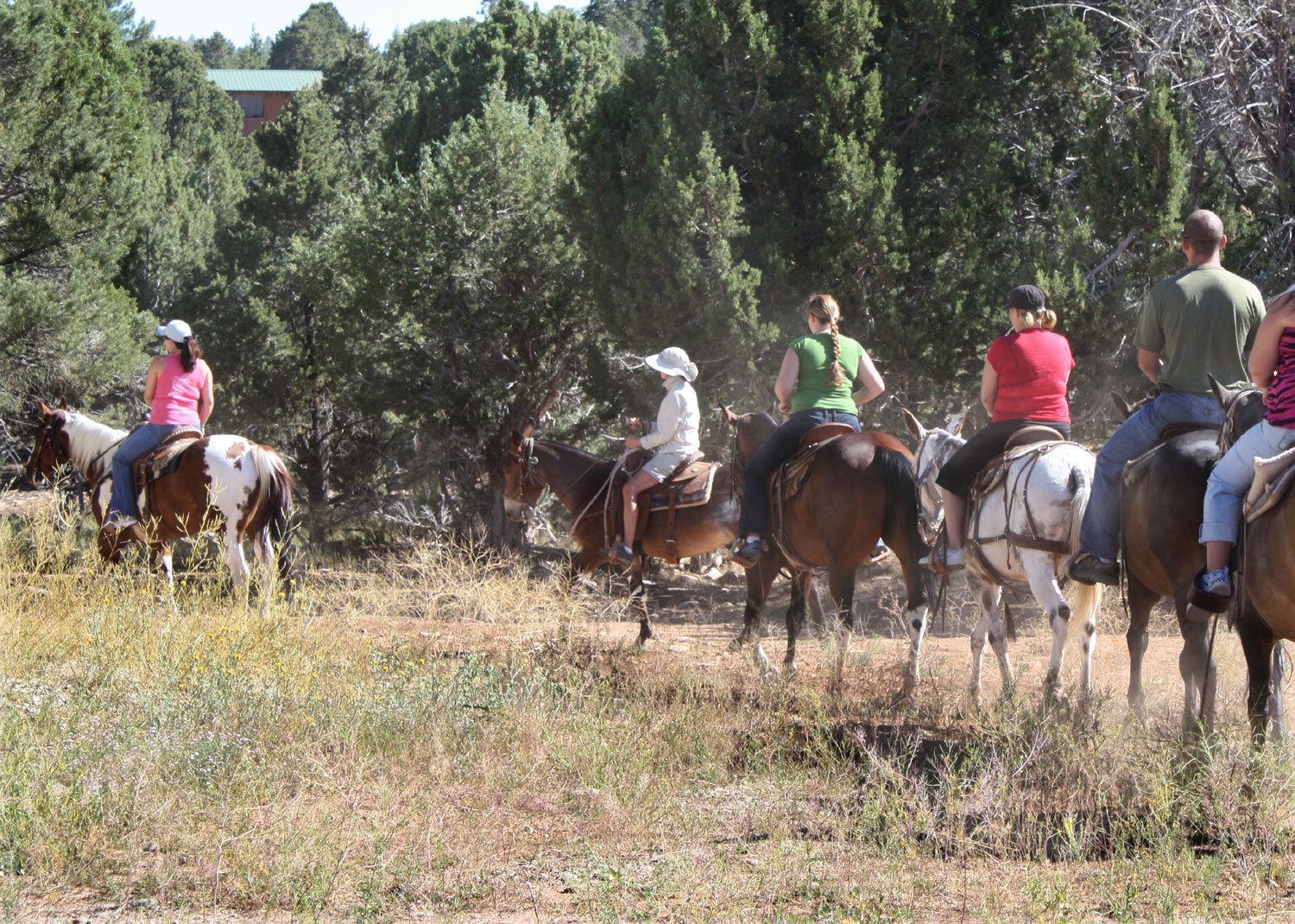 Zion Ponderosa Ranch Resort سبرينجديل المظهر الخارجي الصورة